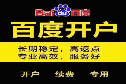 SEM托管服务，成功案例展示转化优势
